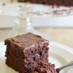 Hot Fudge Chocolate Pudding Cake