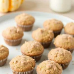 Mini Cinnamon Sugar Pumpkin Muffins